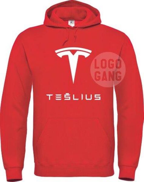 Tesla Tešlius džemperis